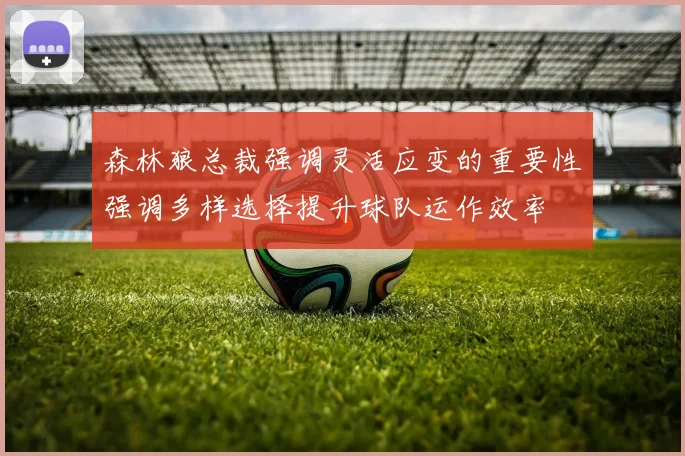 森林狼总裁强调灵活应变的重要性强调多样选择提升球队运作效率