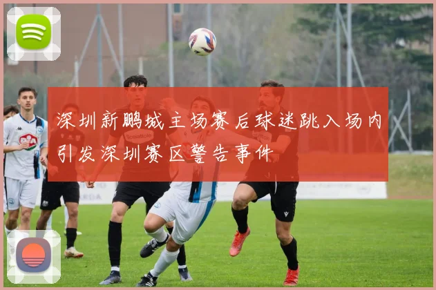 深圳新鹏城主场赛后球迷跳入场内引发深圳赛区警告事件